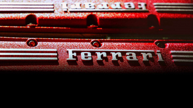 Чистокровный жеребец Ferrari