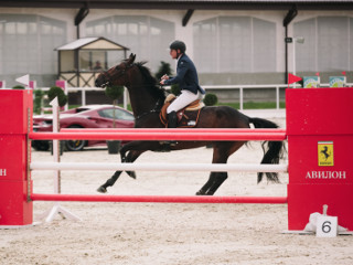 Турнир по конкуру при поддержке "АВИЛОН"